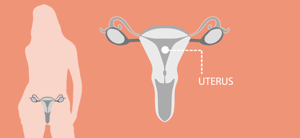 Uterine-Endometrial-Cancer Uterine-Endometrial-Cancer
