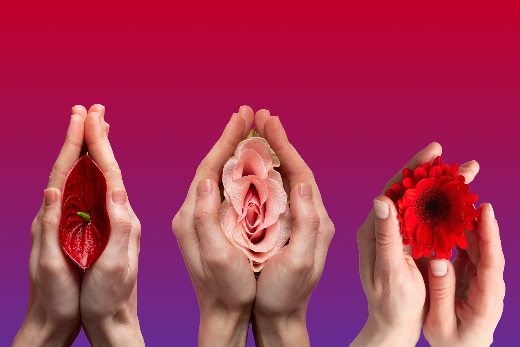 Flower Vulvas In Hands Flower Vulvas In Hands